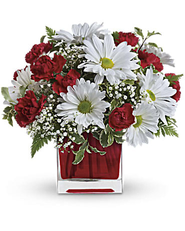 Red and White Delight