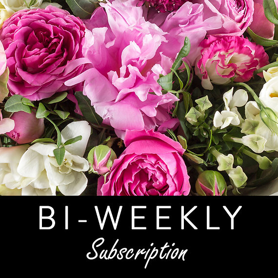 Bi-weekly Floral Subscription