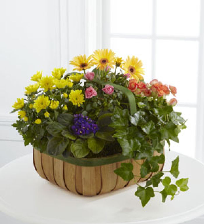 Gentle Blossoms™ Basket