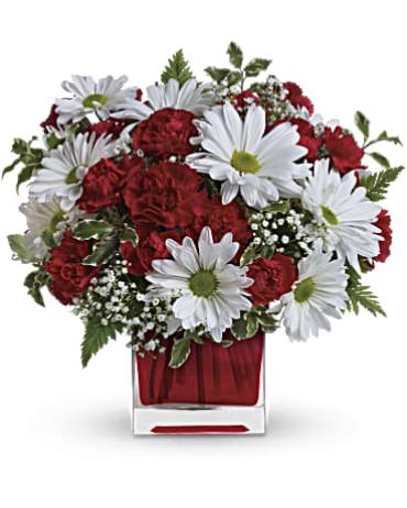 Red and White Delight