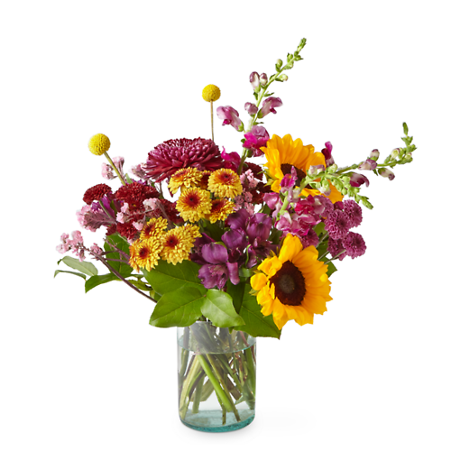 Pop of Whimsy